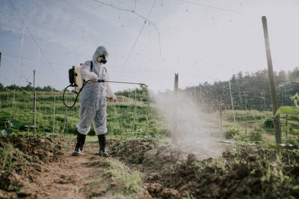 Best Pest Removal Services  in Reiffton, PA