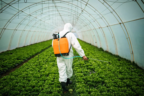 Best Residential Pest Control  in Reiffton, PA
