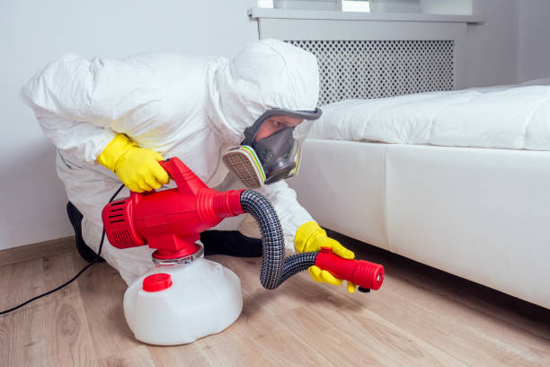 Reliable Reiffton, PA Pest Control Solutions