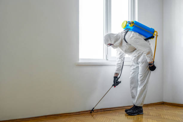 Best Affordable Pest Control Services  in Reiffton, PA
