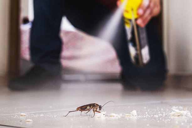 Best Affordable Pest Control Services  in Reiffton, PA